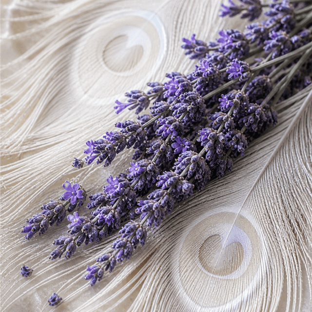 Stress Relief Package at Mahabir Wellness in Haslett, MI